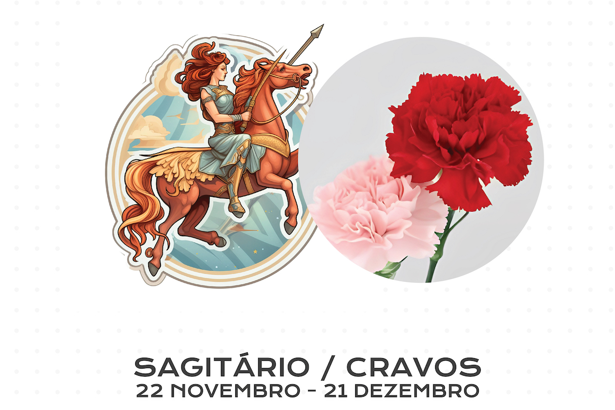Flor para Cada Signo do Zodíaco: Sagitário / Cravos