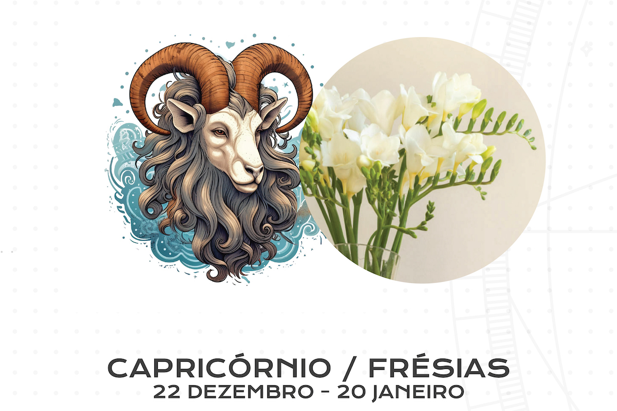 Flor para Cada Signo do Zodíaco: Capricórnio / Frésias