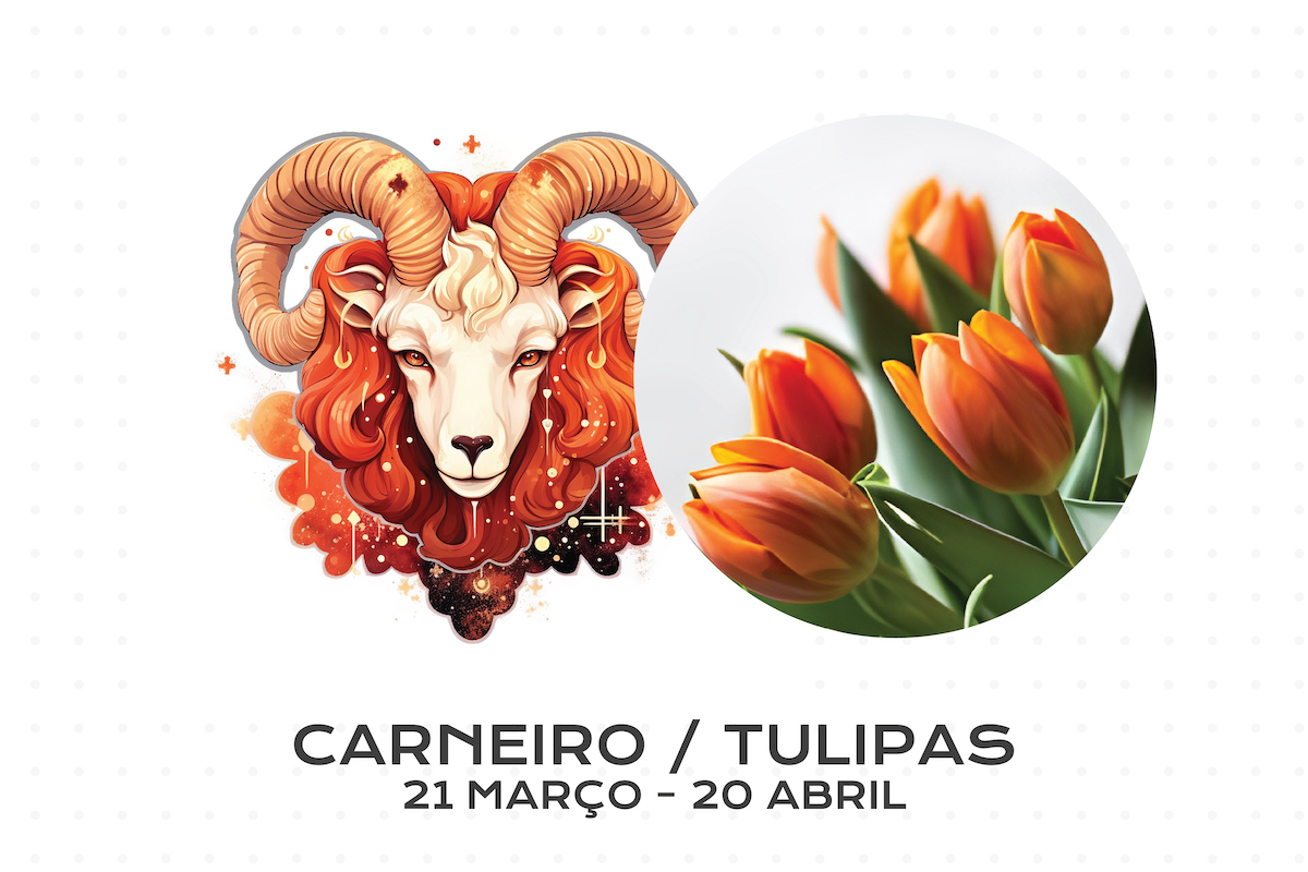 Flor para Cada Signo do Zodíaco: Carneiro / Tulipas