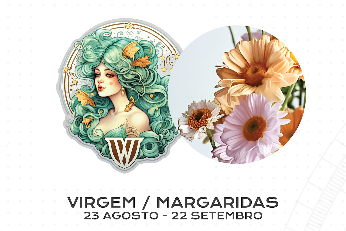 Flor para Cada Signo do Zodíaco: Virgem / Margaridas
