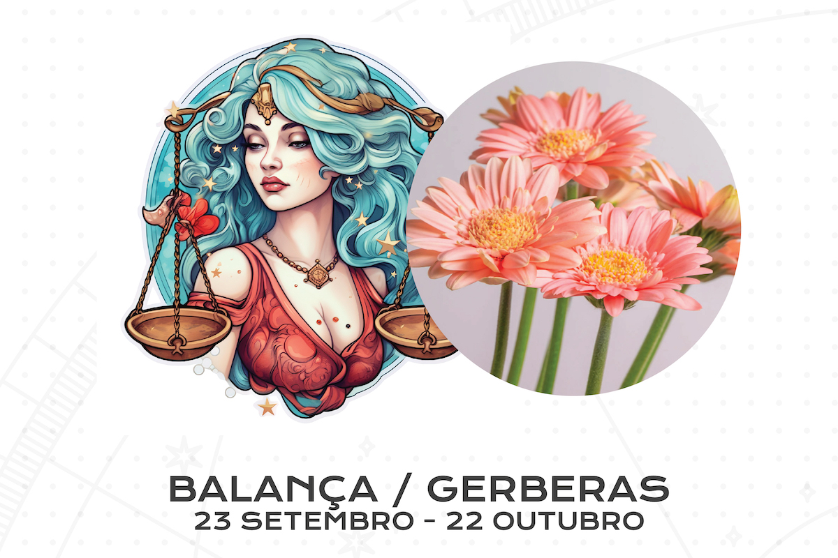 Flor para Cada Signo do Zodíaco: Balança / Gerberas